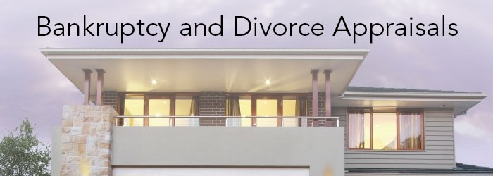 bankrupty-divorce